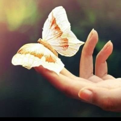 sln_ant_rihan's profile picture. Yaratılana ellerin saygıyla dokunması kadar güzel bir şey var mı ?