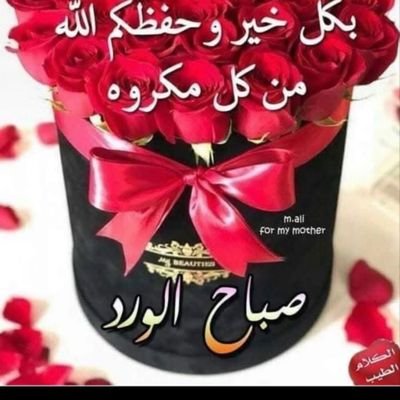 nbel84ali's profile picture. مثقف وواعي