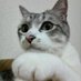 犬と遊びたい@相互フォロー (@tgc1gvv8ws35196) Twitter profile photo 犬と遊びたい@相互フォロー (@tgc1gvv8ws35196) Twitter profile photo