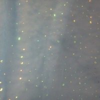 樅 (@81_momi) 's Twitter Profile Photo