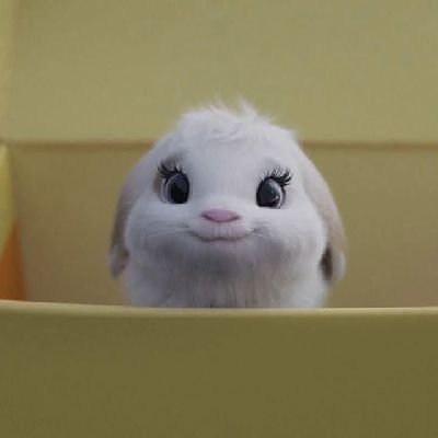 LizHer009's profile picture. 💫