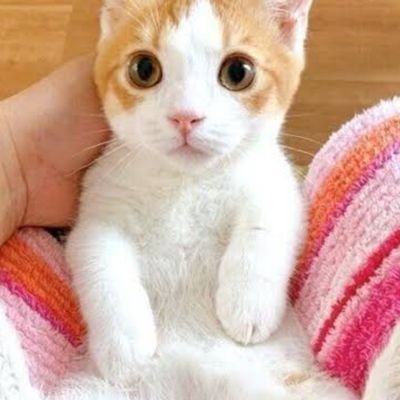 akinyalalala's profile picture. お酒→テキーラ、ウォッカ、すらっと、ストロング系チューハイ大好きおじさん
最近はワインにハマっている