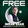 BilalManj351's profile picture. #Pakistan  #Imran_Khan_supporter 
#FreeImranKhan  #امپورٹڈ_حکومت_نامنظور