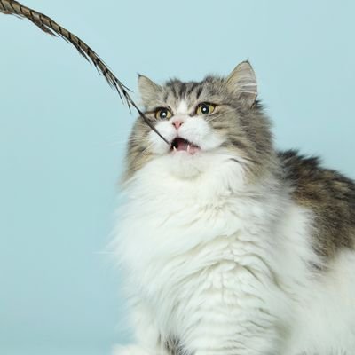 Hiller1986's profile picture. Love and tolerance make the world better！