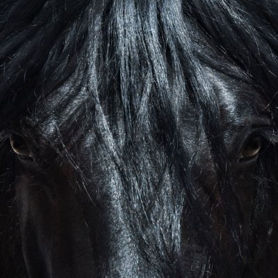BLACK HORSE 3 100K Profile