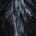 BLACK HORSE 3 100K (@biackh0rce3) Twitter profile photo BLACK HORSE 3 100K (@biackh0rce3) Twitter profile photo