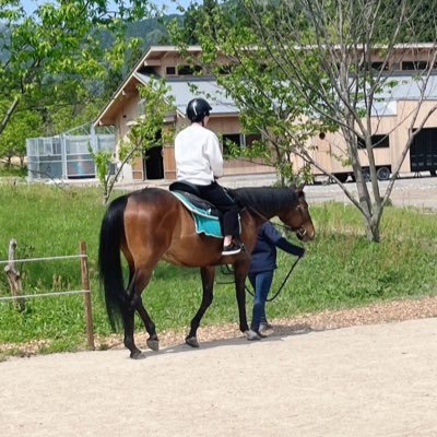 去年から一口馬主をDMMバヌーシーで始めました! 社会人3年目のマナティーです🐎 共通の趣味の方と繋がれたらなと思ってます😎無言フォローしてしまうかもしれません🙏 ブルーリュバン・スウィッチインラヴ・パルミエ