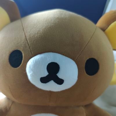 bqmo4さんのプロフィール画像