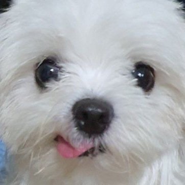 annesuzete's profile picture. 