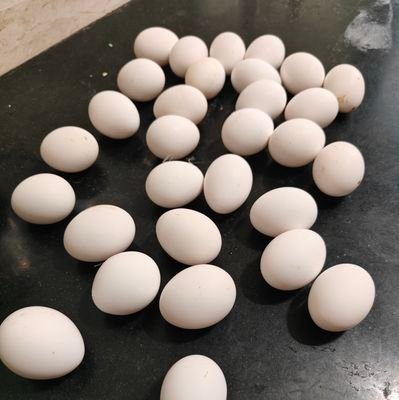 andaaMasala's profile picture. Damn !