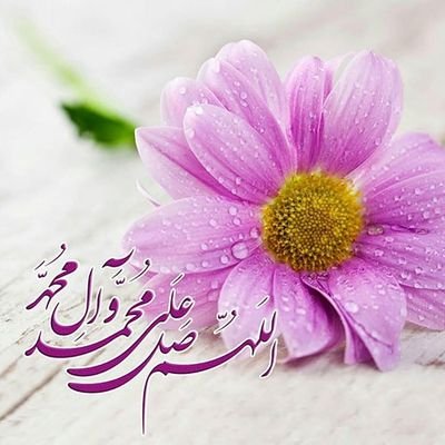 و روزی سبـز می شود در میان ویـرانی ها☆ جوانـه ای از امیـد🌱️