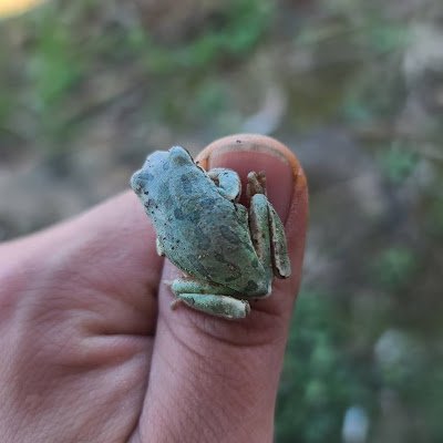 jjh3182's profile picture. 