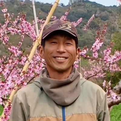 sadafarm's profile picture. #桃 #柿 #八朔 #キウイフルーツ 果樹専門農家/農家から #産地直送 で旬の #桃 を #ポケマル #メルカリshops にて販売します。↓リンクから各ショップページにアクセスできます！