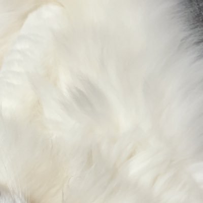 ふさんのプロフィール画像