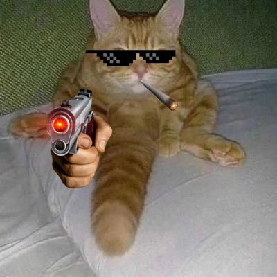 woaitaoershi's profile picture. 一个交易员 量子光学研究生 傻逼韭菜