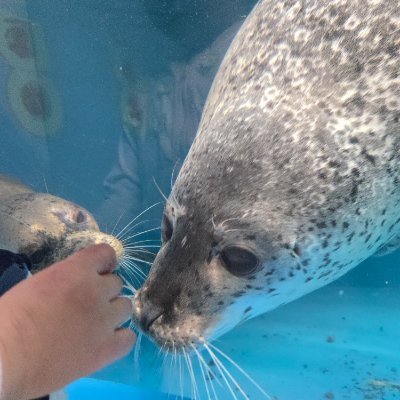 お笑い好き。日々の癒し。地方の民。(前アカ:ナッツ)
マシンガンズ、ガクテンソク、男性ブランコ、麒麟川島さん、金属バット、中川家好き。機種変したらX入れなくなりました。。前繋がってた方、繋がれると喜びますー