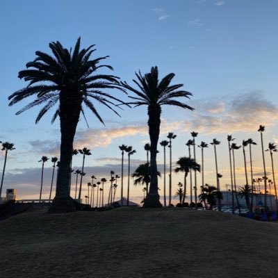 Ninosan606's profile picture. 