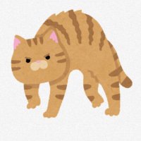 なつめ (@t_2_m) 's Twitter Profile