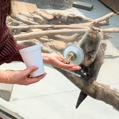 konomi216u's profile picture. 