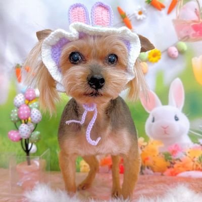 keiko01212929's profile picture. 🧡よろしくお願いします🧡フォローフォロー解除はご自由に🧡不安定な時は鍵をかけます❤️‍🩹