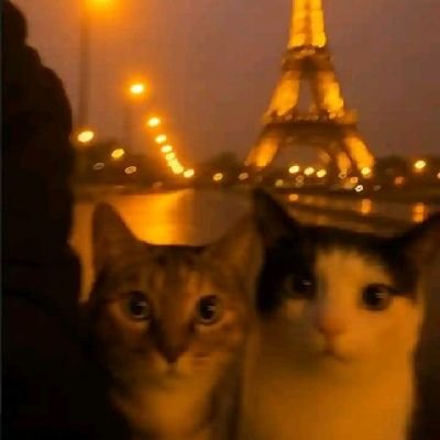 OmokurinEniola's profile picture. Tch