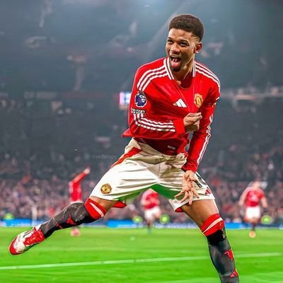 Tomivick's profile picture. God promises for me is very perfect

MAN UNITED ❤️❤️