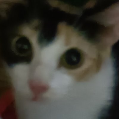 Jarさんのプロフィール画像