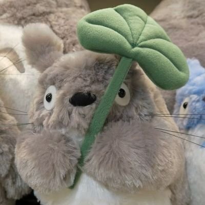 smolloreo's profile picture. I like cats.