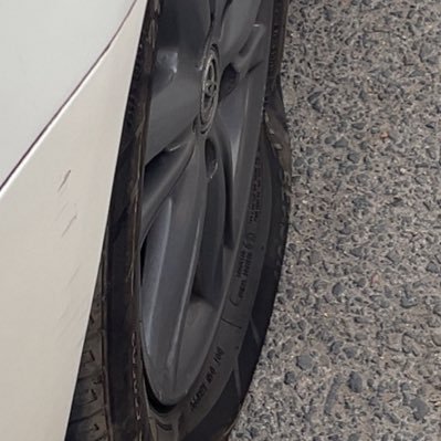 Cheesebrgrfries's profile picture. 