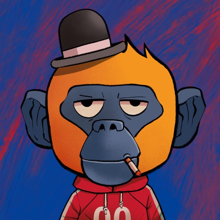 bitcoinmylif_66's profile picture. Investor surfing on web3 | #Bitcoin maximalist