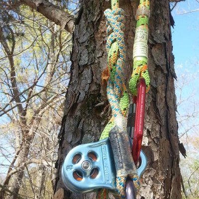 ValdotainTresse's profile picture. Eatin' Peanuts & Drinkin' Billy Beer