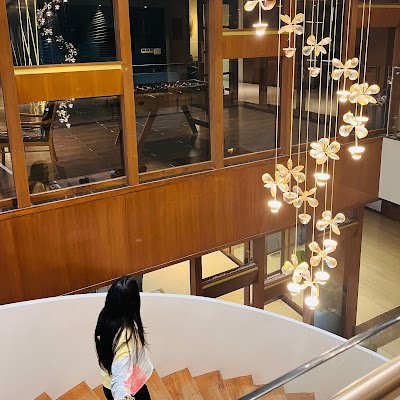 tanvidholakiyaa's profile picture. 