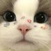 Mercure ×͜× (@mercvre_) Twitter profile photo Mercure ×͜× (@mercvre_) Twitter profile photo