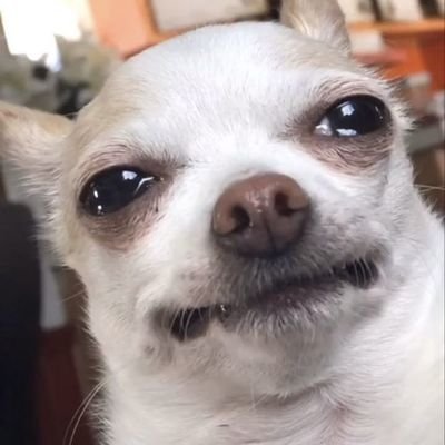 yfmomttsimhhl's profile picture. what's the hurry about?