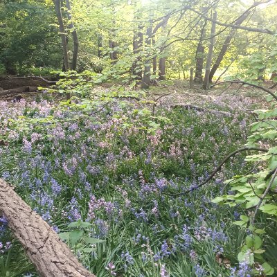 ContactSaid's profile picture. 