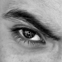Aref Lotfi (@aref_lotfi696) 's Twitter Profile