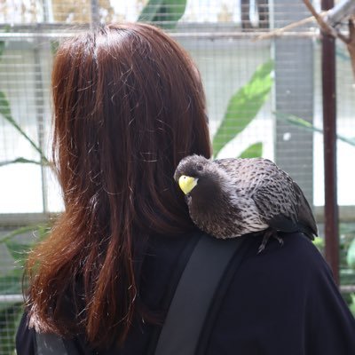 ichisantonon's profile picture. お出かけ大好き。