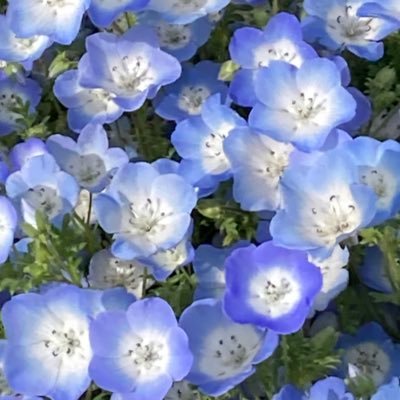 息子が白血病で亡くなりました。 寛解療法を始めてまだ1ヶ月、あの日までまさか亡くなるとは思っていませんでした。 時が戻るなら元気な息子に会いたい。