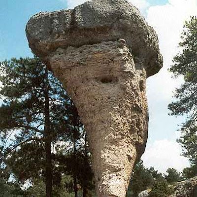 UgtVicente76322's profile picture. 