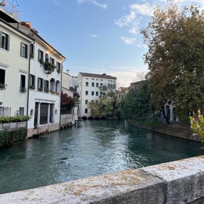 AndreaB28441361's profile picture. 