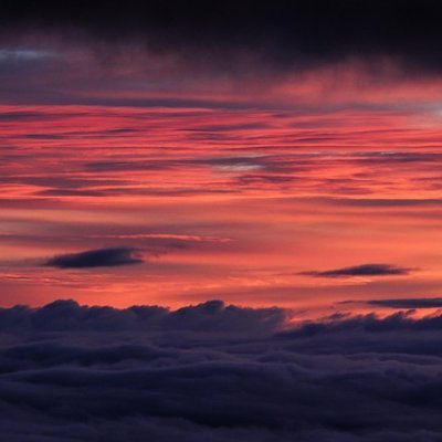 livasibel95103's profile picture. 