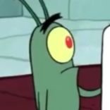 mostly spongebob and charli xcx || #1 plankton stan