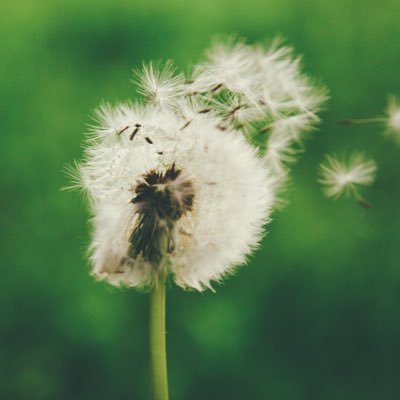 KplVortex82's profile picture. 
