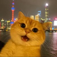 meng (@waeyoee) 's Twitter Profile Photo meng (@waeyoee) 's Twitter Profile Photo