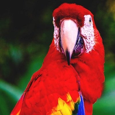 Venezolana, demócrata, libertaria, nada hay más preciado que la libertad