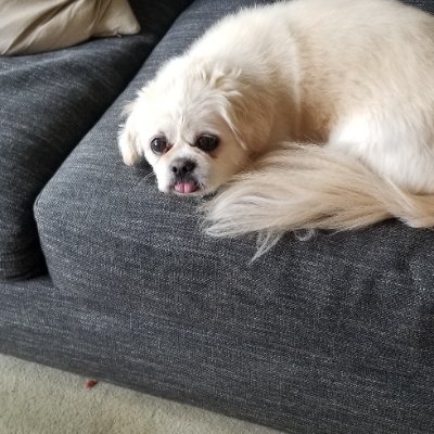 Tinalouise51's profile picture. 