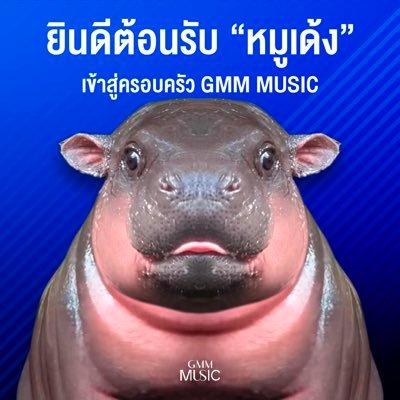 TS6gfNrqxTUAS1u's profile picture. パーイ チェンマイ付近で出没