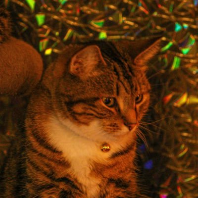 Braydoncrof's profile picture. just a city photographer