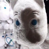 JB (@jb_coding_story) 's Twitter Profile