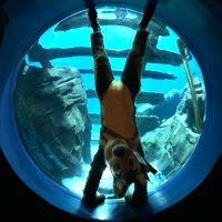 Sprocket (@fur_mtb) 's Twitter Profile